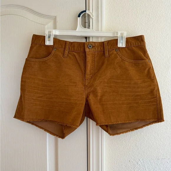 Carve Corduroy Shorts - Picture 1 of 4